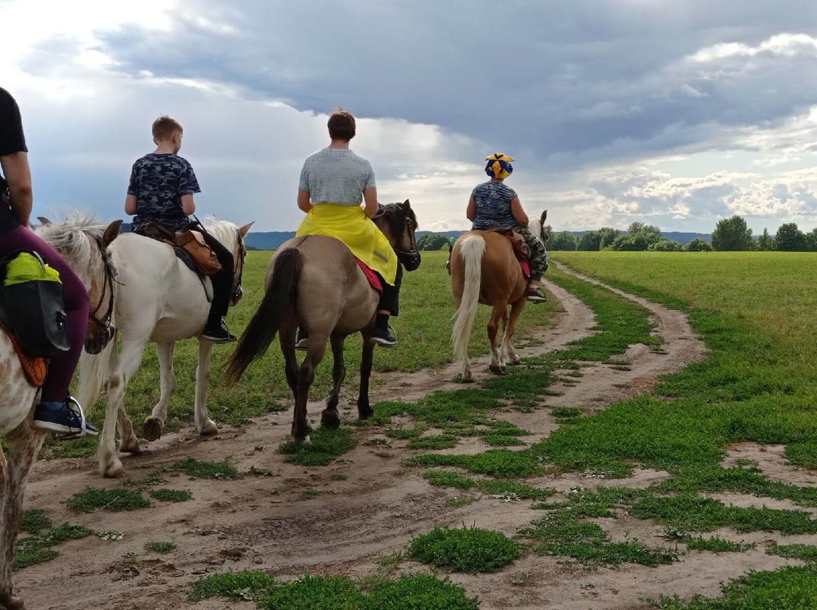 Конная прогулка для двоих. Конный клуб Konipark в Нижнем Новгороде